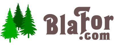 BlaFor.com Logo
