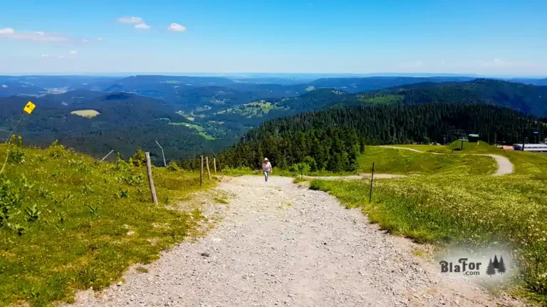 Westweg Schwarzwald