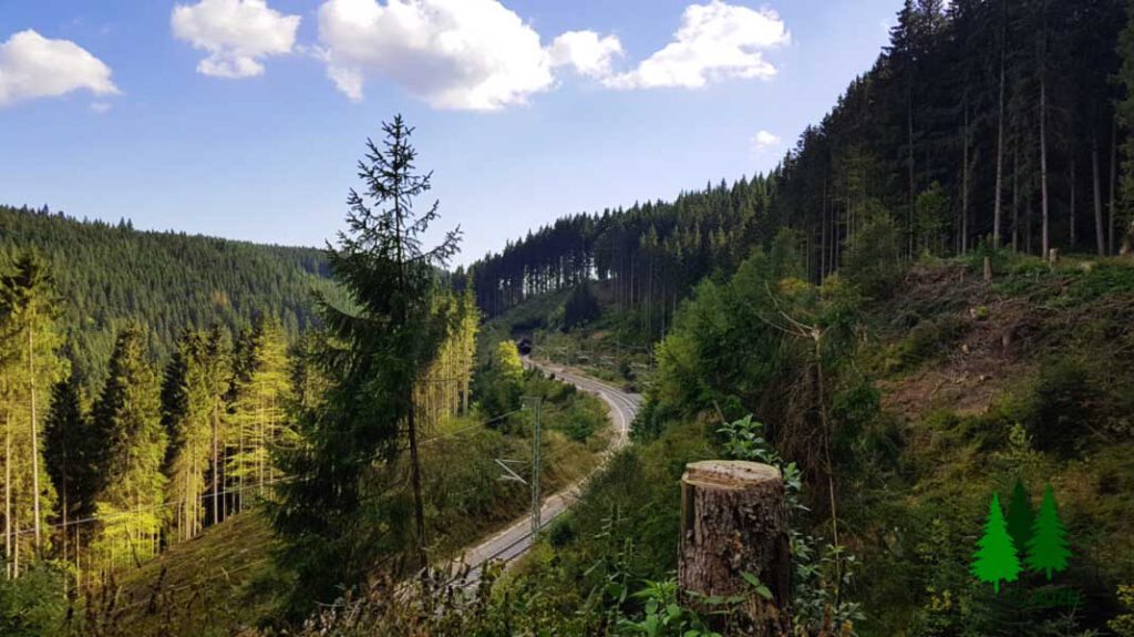 Die schönsten Städte im Schwarzwald » BlaFor.com Guide