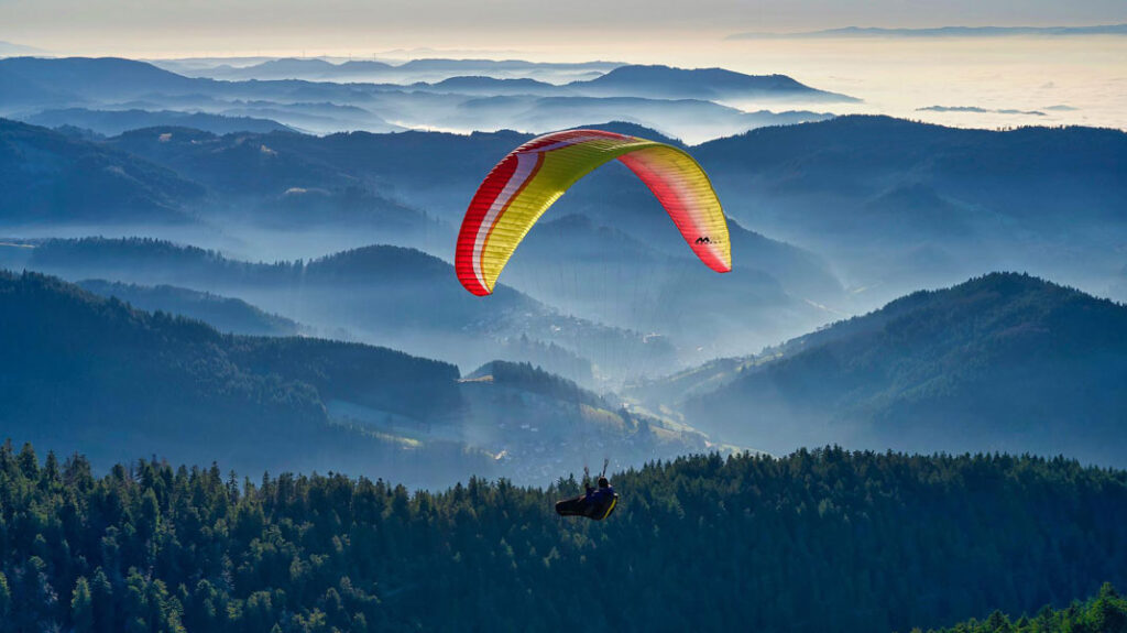 Action und Abenteuer im Schwarzwald