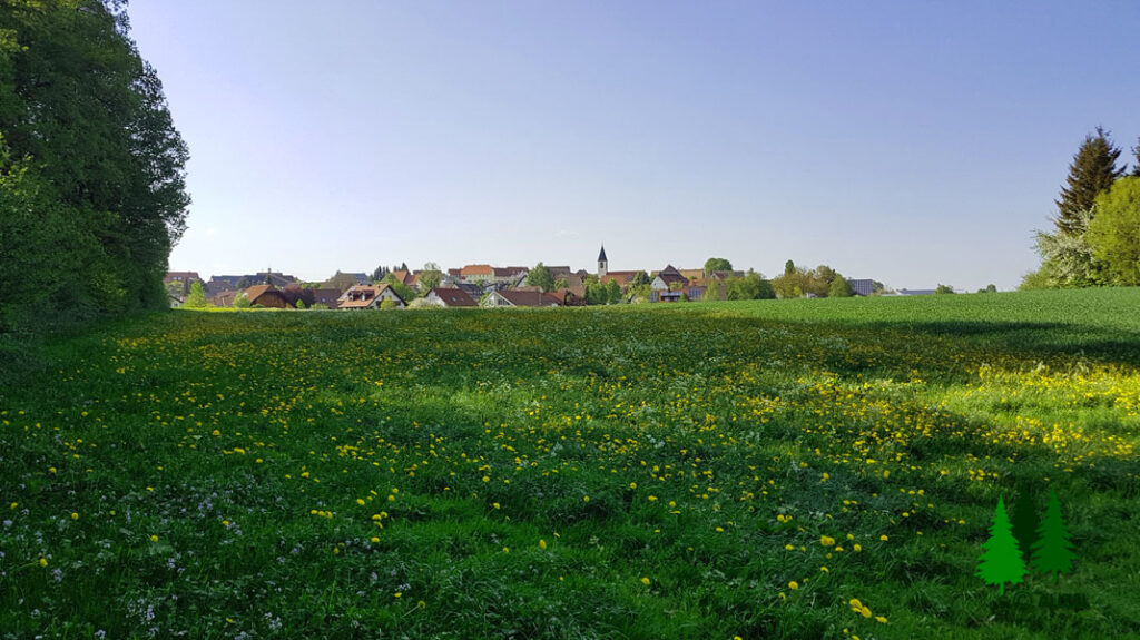 Luftkurort Dittishausen