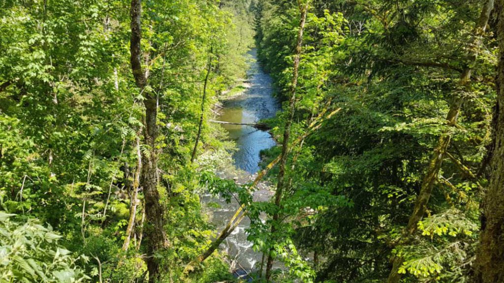 Wutachschlucht beim Räuberschlössle