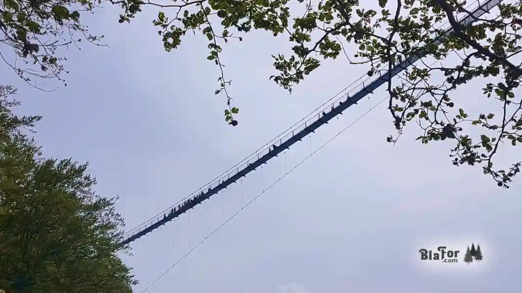 Hängebrücken im Schwarzwald