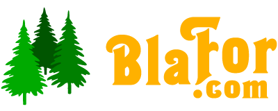 BlaFor.com Logo