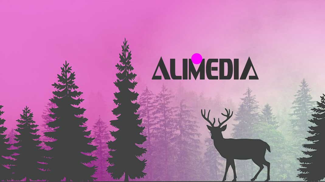 ALIMEDIA Designschmiede